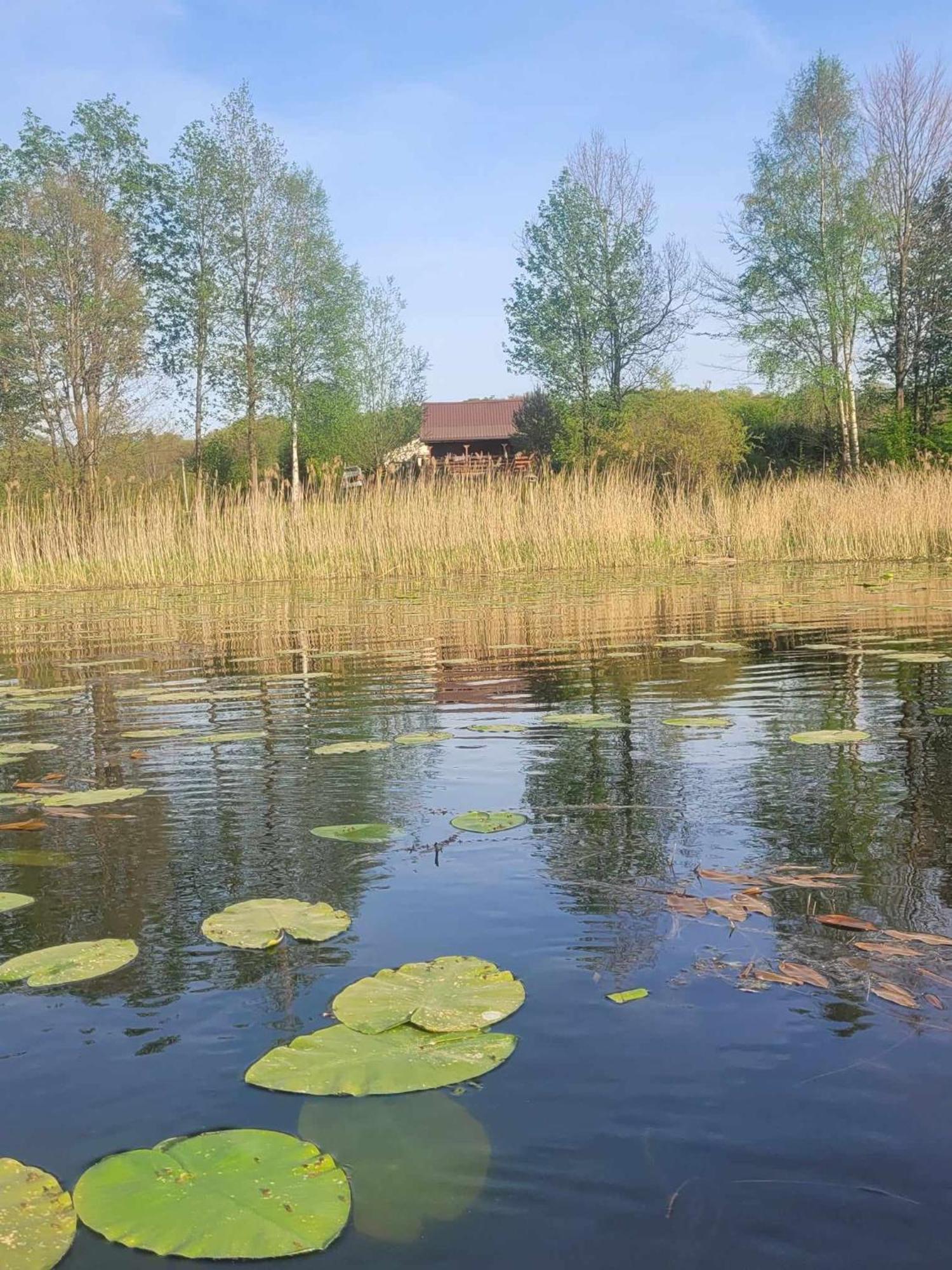 Drewniany Domek Zurawi Trakt Zabrsko Dolne Esterno foto
